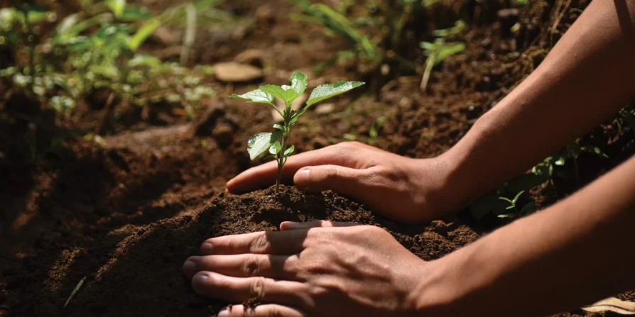 L'immagine mostra una mano che pianta un piccolo germoglio in un terreno fertile, simbolo di crescita e sostenibilità ambientale. Il gesto di piantare un albero rappresenta l'impegno verso la cura dell'ambiente e la promozione di un futuro più verde.
