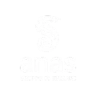 logo-anas